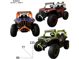 CHILDREN RC RIDE ON CAR (12V)