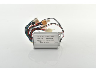 36V CONTROLLER 250W (H-51) 36V CONTROLLER 250W (H-51)