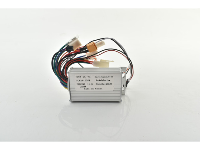 36V CONTROLLER 250W (H-51)