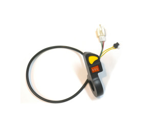 SPEED CONTROL SWITCH (H-53)