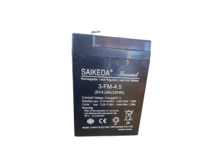 BATTERY (TIANYI SAIKEDA) 6V BATTERY (TIANYI SAIKEDA) 6V
