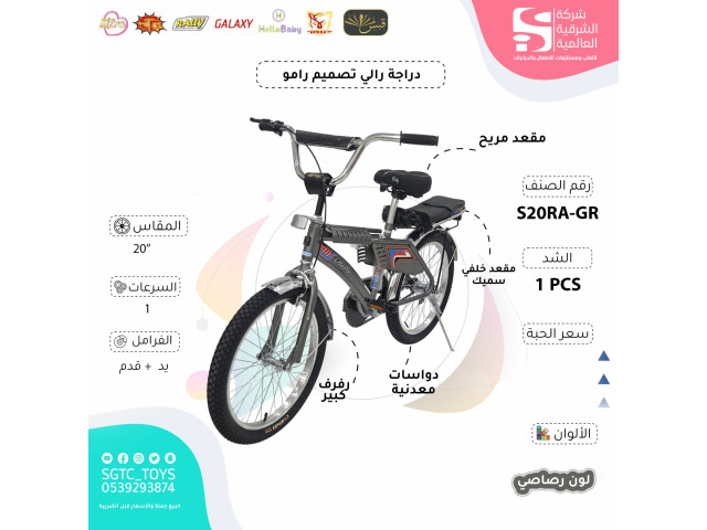 RALLY 20' BICYCLE-GRAY