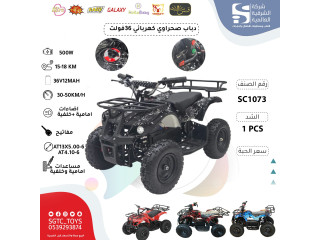 CHILDREN BO RIDE ON ATV(36V)
