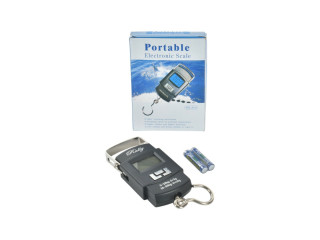 SCALE P56