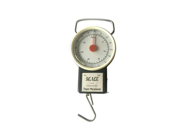SCALE