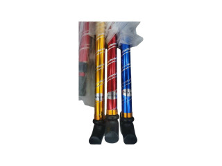 WALKING STICK WALKING STICK