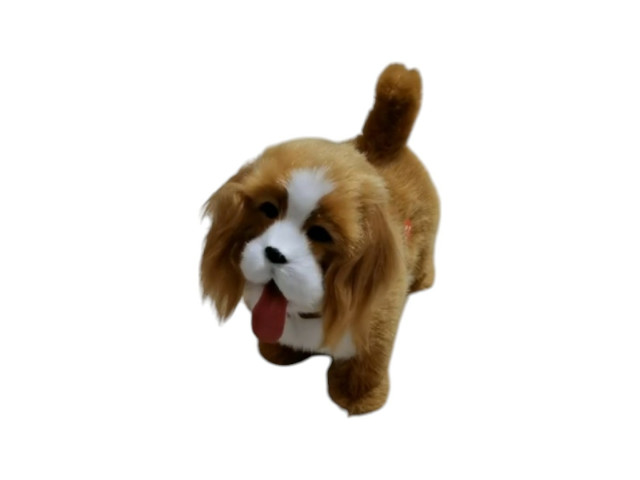 STUFFED ANIMAL DOG P64
