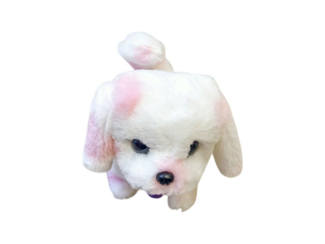STUFFED ANIMAL)