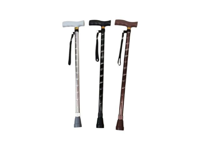 WALK STICK