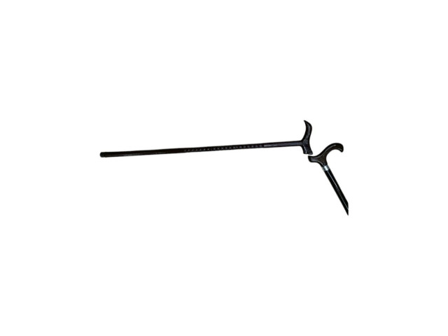 WALK STICK