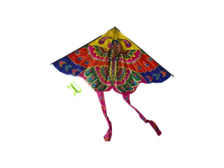  طائرة ورقية