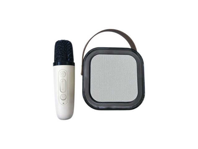 SPEAKER