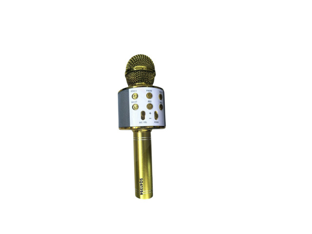 MICROPHONE