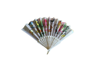 FAN (P57 FAN (P57