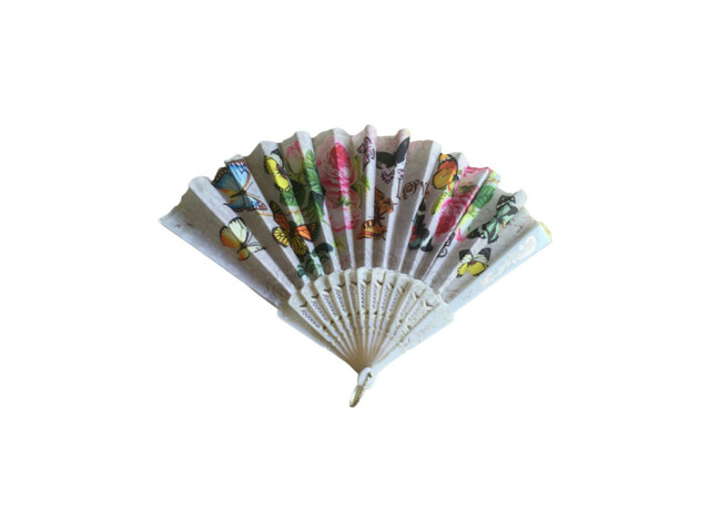 FAN (P57