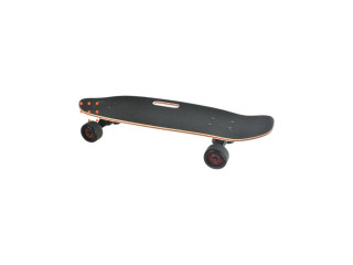 SKATE BOARD (P-23)(P-22) SKATE BOARD (P-23)(P-22)