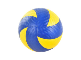 VOLLEYBALL(P-87) (P-60)